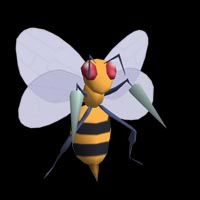 beedrill.jpg (9968 bytes)